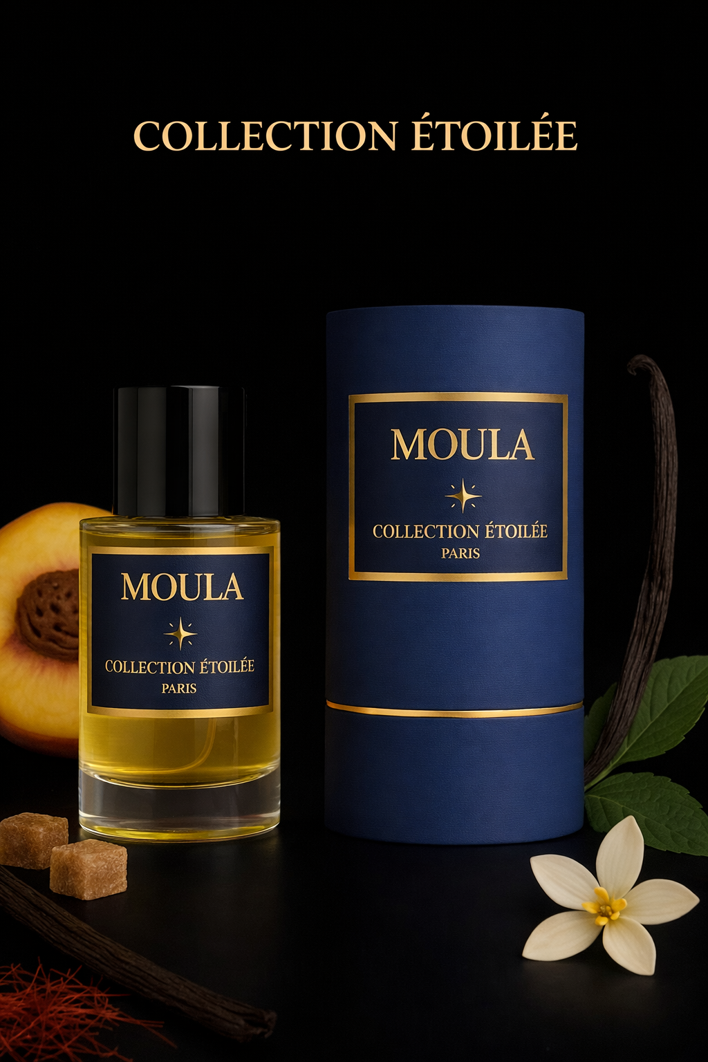 MOULA - Collection étoilée